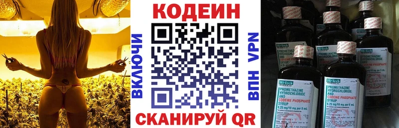 omg tor  Володарск  Кодеин Purple Drank  наркотики 