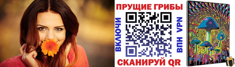Галлюциногенные грибы ЛСД  где можно купить   Володарск 